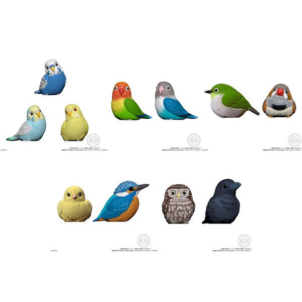 TE-NORI FRIENDS 4 W/O GUM (Set of 11)