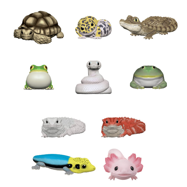 TE-NORI FRIENDS 8 W/O GUM (set of 10)