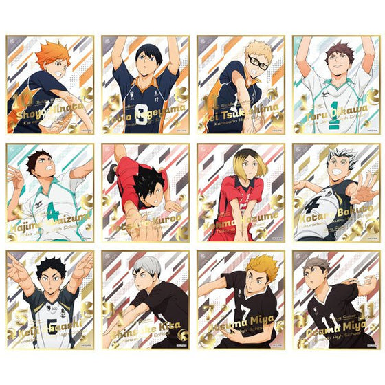 Haikyu !! Visual Shikishi Collection 5 (Set of 12)