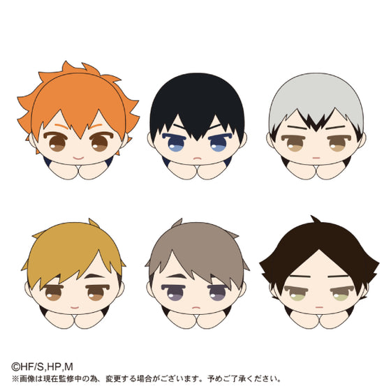 Haikyu !! Hug Character Collection (Set of 6)