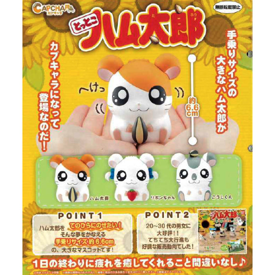 BANDAI - HamTaro (Set of 3)