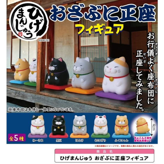 Seiza Cat (set of 5) 扭蛋 正座貓
