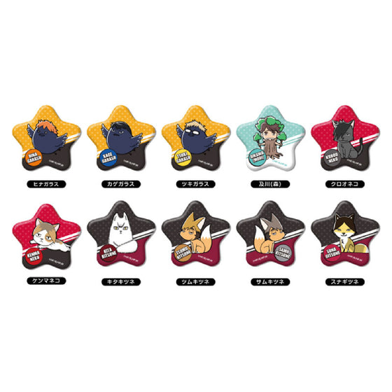 Hoshi-CAN Badge Haikyuu!! (set of 10) 排球少年
