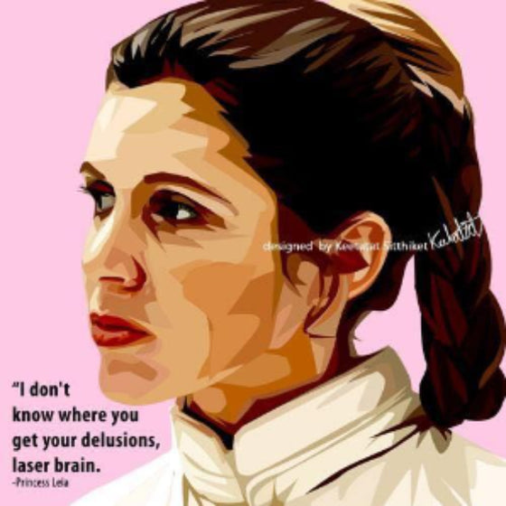 Pop Art Wall Decoration Drawing (Princess Leia) 星球大戰 掛畫