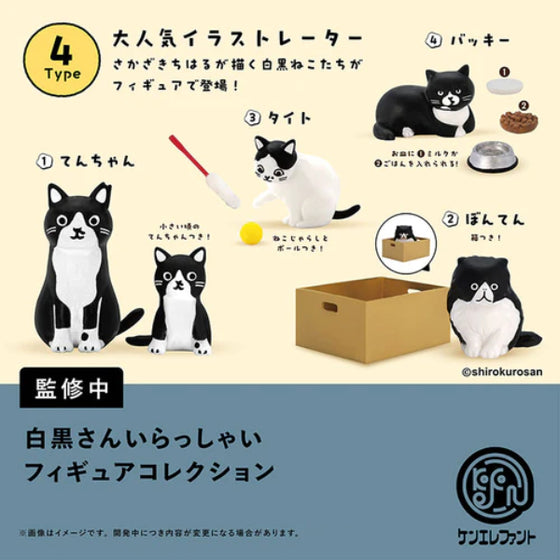 Welcome to Black and White Figure Collection (box of 12) 貓