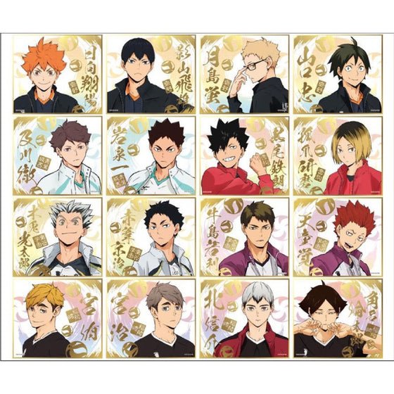 Haikyu !! Visual Shikishi Collection 4 (Set of 16)
