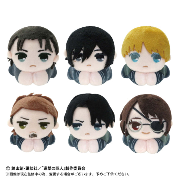Attack on Titan Hug Character Collection (Set of 6)