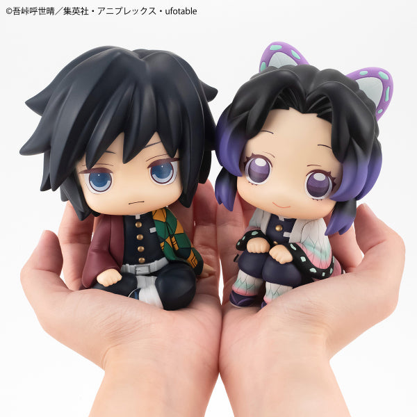 "Demon Slayer: Kimetsu no Yaiba" Shinobu Kocho & Giyu Tomioka - Stare at you