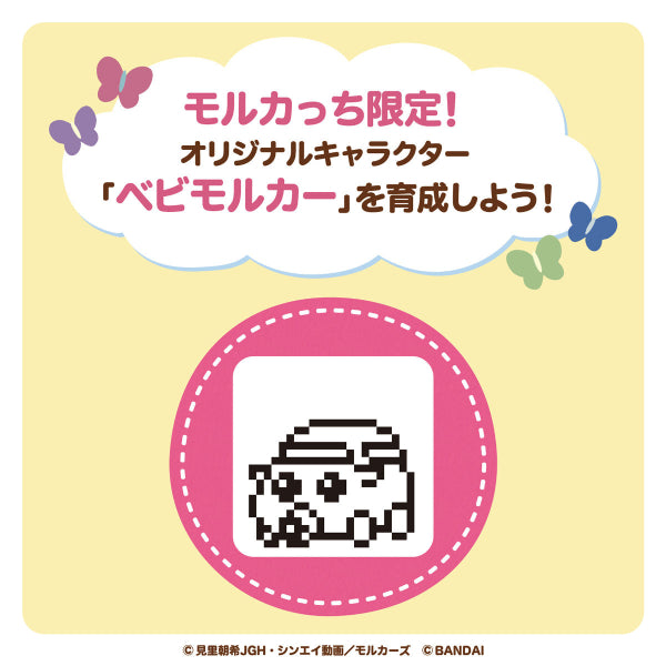 PUI PUI MOLCATCHI (Orange Color/ Cream Color)