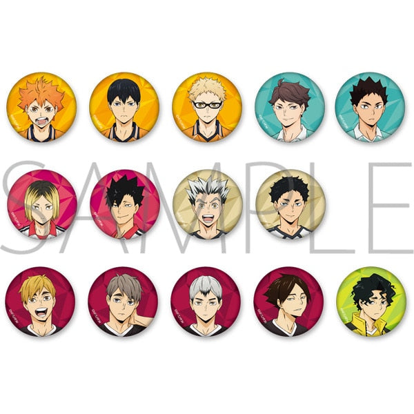 Haikyu !! TO THE TOP 排球少年 Trading Can Badge (set of 14)