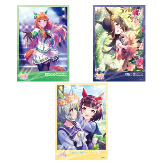 Uma Musume Pretty Derby 賽馬娘 Jigsaw Puzzle 300 Pieces (1995 [Silence Suzuka] / 1996 [Rice Shower] / 1997 [Seiun Sky & Nishino Flower])